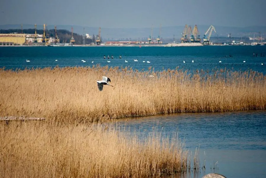 Daria Luxury Seaside Apartment Burgas City